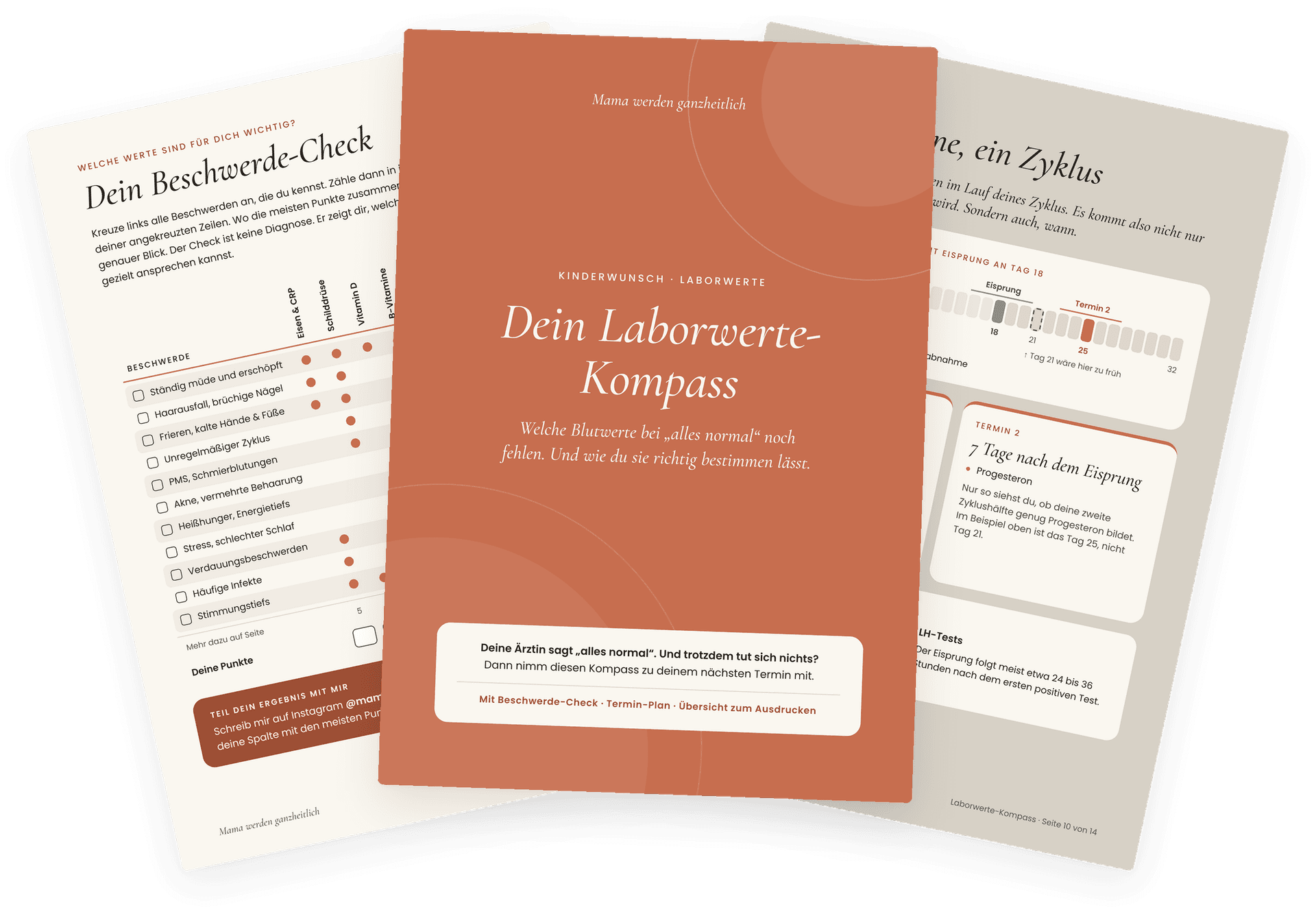 Drei Seiten des Laborwerte-Kompass: Cover in Terracotta, Beschwerde-Check und Termin-Plan